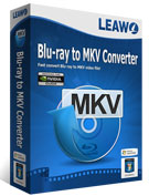 Blu-ray to MKV Converter